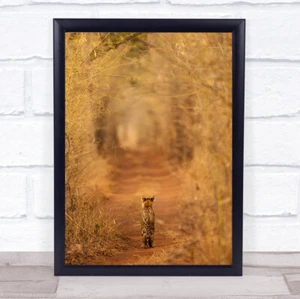 Der Tiger im Tunnel Wildtiere Indien gefährdet Baby Straße Weg Wandkunstdruck - Bild 1 von 1