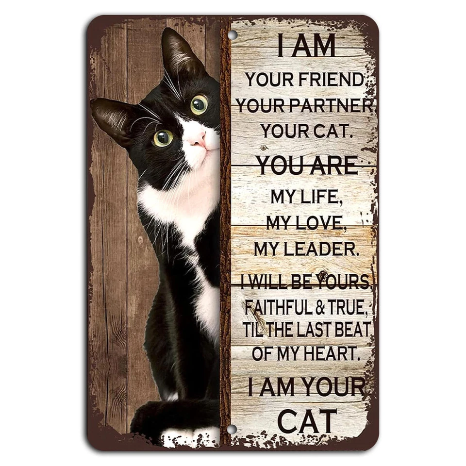 I Am Your Friend Your Partner Your Cat - Cute Cat Lover Sign 8x12 Inch Aluminum - Image 1 of 1
