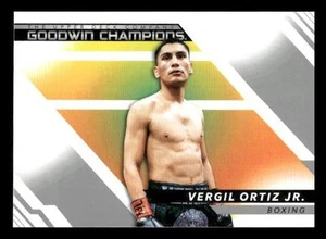 2022 Upper Deck Goodwin Champions #93 Vergil Ortiz Jr. - Picture 1 of 2