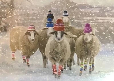 Sheep in Woolly Hats & Socks Snowy Scene Charity Christmas card~Single~The Works