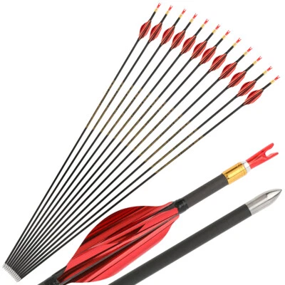 31" Pure Carbon Arrow SP700-1000 Archery Spin Wing Vane Compound Bow Shoot .001" - Image 1 of 4