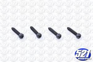 Map Light Screws Fits 71 SuperBee GTX 72-74 Charger Satellite RoadRunner Mopar - Picture 1 of 1