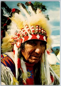 Postcard Canadian Indian Chief Full Regalia War Bonnet Headdress - Picture 1 of 2