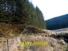 Photo 6x4 Outside the Hafren Forest boundary fence Pant Mawr/SN8482 View c2009