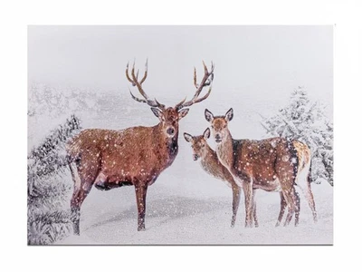 Wandbild Hirschgruppe im Schnee auf Leinwand 50x70cm Formano W25 - Bild 1 von 3