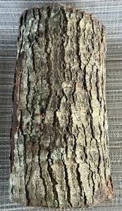 Oak Log 12" Long And 6” Wide - Picture 1 of 1