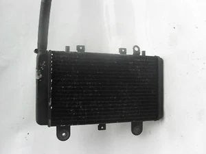 TRIUMPH TIGER 900 KÜHLER - Bild 1 von 1