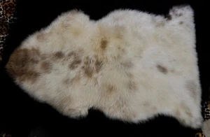Beautiful Caramel Markings  - A Stunning Rare Breed European Sheepskin Rug - Picture 1 of 6
