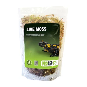 ProRep Live Moss Large Bag (approx 3L) - Picture 1 of 1