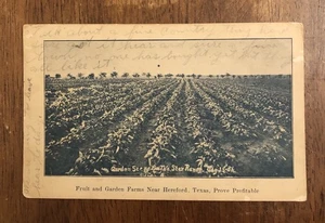 Gartenszene The Star Ranch 25.08.1906 in der Nähe von Hartford, Texas. Postkarte (WP8) - Bild 1 von 2