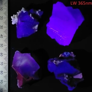 Fluorescent Fluorite crystals purple blue UV reactive specimens parcel lot 673ct - Bild 1 von 7