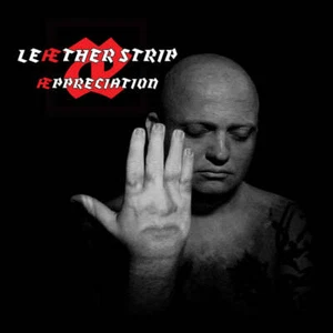 Leaether Strip - Æppreciation (CD) - Picture 1 of 1