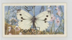 1963 Brooke Bond British Butterflies Tea Green-Veined White #42 1i3