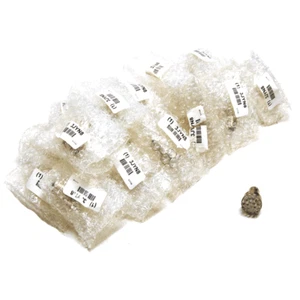 Lot 19 Value Brand S8 Miniature LED Light Bulb 12V Single Contact Bayonet 3JYN8 - Picture 1 of 2