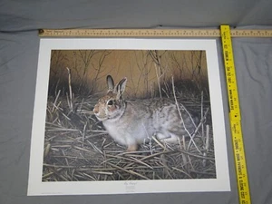 Charles Frace My Friend signierter Lithographie Druck Hase Cottontail - Bild 1 von 7