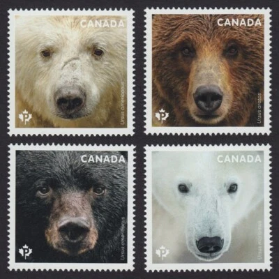 BEARS OF CANADA = Polar = Grizzly = Set 4 stamps from S/S Canada 2019 MNH - Image 1 of 4