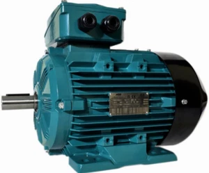 Drehstrom-Motor 37 kW 3000 U/min B3 Elektromotor Grauguss IE3 ATB / Wolong - Bild 1 von 3