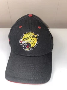 IUPUI Jaguars Hat - Picture 1 of 9