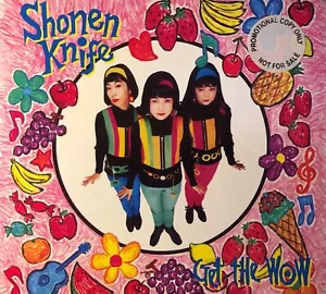 Shonen Knife Get The Wow rare promo CD single 1993 August Records pop rock indie - Picture 1 of 1