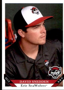 2015 Erie SeaWolves Grandstand #31 David Snedden Homewood Illinois Baseball Card