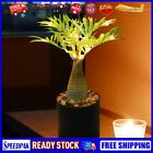 Tree Night Lamp USB Plug LED Plant Shape Light Bedroom Decoration (Palm)