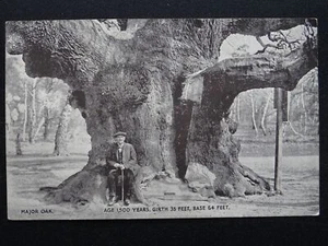 Nottinghamshire SHERWOOD FOREST MAJOR OAK Robin Hood (2) Old Postcard - Picture 1 of 3