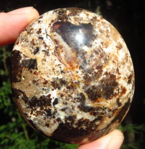 FUDGE SWIRL CHOCOLATE BROWN BLACK OPAL GEM GRADE CRYSTAL PALMSTONE MADAGASCAR *1 - Picture 1 of 8