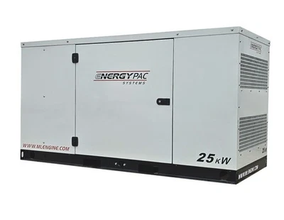 25kW Natural Gas Standby Generator - Image 1 of 4