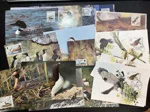 Bird Themed Maximum First Day Cards, 26 Different Greenland, Hungary Etc - Picture 1 of 6