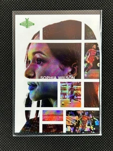 SINGLES - Parkside 2025 NWSL V1 Identity Insert - Picture 1 of 1