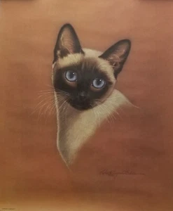 Estampado artístico complementario Purr-fect Robert Guzmán Forbes 16 x 20 - Imagen 1 de 2