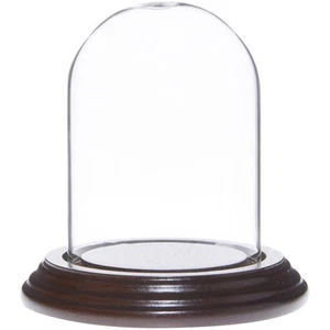 Cúpula de exhibición de vidrio pequeña Plymor de 2,5" x 3,5" (base de chapa de caoba oscura) - Imagen 1 de 1