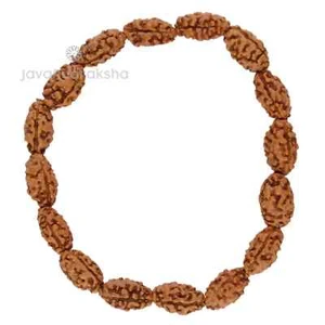 Grade A | 2 Mukhi Java Rudraksha Armband 12mm Medium | Indonesien Original Perle - Bild 1 von 4