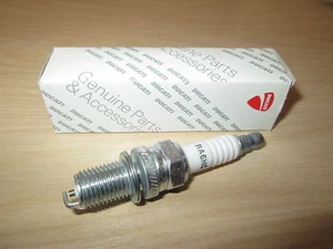 NEW GENUINE DUCATI MONSTER 750 900 SPARK PLUG 67090081A (01) - Picture 1 of 1