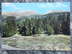 cartolina cevo pineta 1964 - Foto 1 di 2