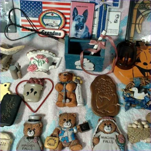 Lot of 25 Refrigerator magnates. Niagra Falls. Grandma, Jesus, Bears - Picture 1 of 7