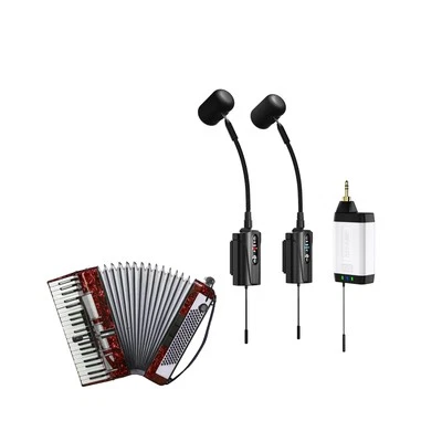 Doppio Microfono Wireless a Fisarmonica UHF, Microfono Pick Up Strumento a Collo d'Oca con... - Immagine 1 di 4