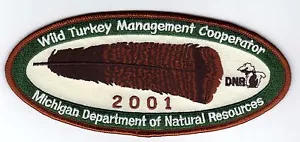 2001 MICHIGAN DNR SUCCESSFUL TURKEY-DEER HUNTER PATCH -HUNTING LICENSES- PINBACK - Picture 1 of 1