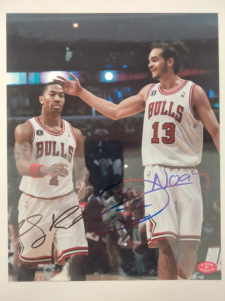 Letrero Derrick Rose & Joakim Noah Chicago Bull 8x10 foto certificado por D. Rose holograma Foto 1 de 1