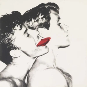 Andy Warhol Querelle #1 Canvas Print 17 x 17 - Picture 1 of 4