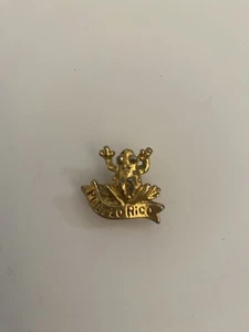Puerto Rico Frog Lapel Pin P7 - Picture 1 of 4