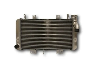 NEW ALL Aluminum Radiator FOR 2008-2019 Suzuki Hayabusa GSX1300R GSX 1300R - Foto 1 di 3