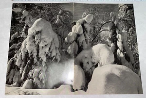 LARGE YOSEMITE AHWAHNEE MENU 1965 BRACEBRIDGE CHRISTMAS DINNER 19"x13-1/2" - Picture 1 of 2