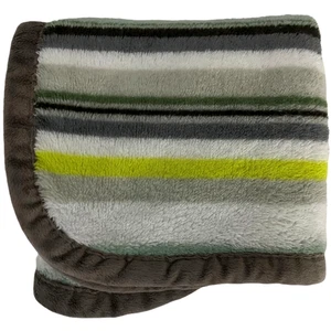 Blankets & Beyond Gray Green Stripe Baby Blanket Soft Fleece htf 26x32 Fleece - Picture 1 of 3