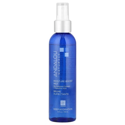 Moisture Boost Mist, hidratación profunda, 6 fl oz (178 ml) Foto 1 de 3