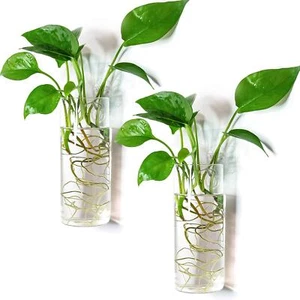 Glass Planter Terrarium Plant Propagation Station Wall Hanging for Home Offic... - Picture 1 of 7