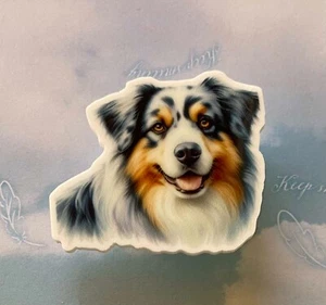Acrylic fridge magnet Australian Shepherd dog nice strong hold - Foto 1 di 2
