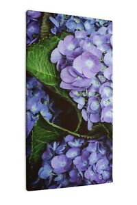 Leinwandbild Kunst-Druck Blumenstrauß aus lila Hortensien 50x100 cm