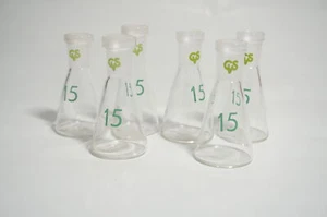6x Erlenmeyerkolben mit Schliff 15 mL Laborkolben klein - Bild 1 von 2