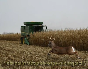 Impresión artística motivacional para tractor John Deere ciervos granja oficina decoración de pared regalo  - Imagen 1 de 1